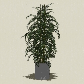 ����ֲ��-Sketchup��ͼ��ʦEnscape����ģ��20220511237