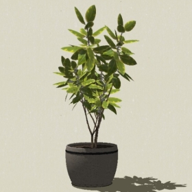 ����ֲ��-Sketchup��ͼ��ʦEnscape����ģ��2022051165