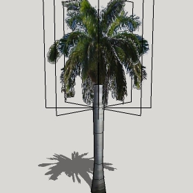 ͼʦģֲģȫ2022061