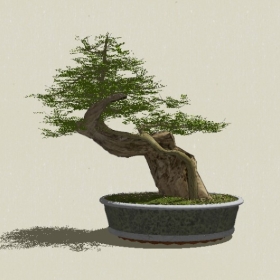 �辰ֲ��-Sketchup��ͼ��ʦEnscape����ģ��2022051117