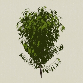 ��ľ-Sketchup��ͼ��ʦEnscape����ģ��20220511100