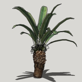 ���ֲ��_Enscape���ʲ�ͼ��ʦģ���������202204205593