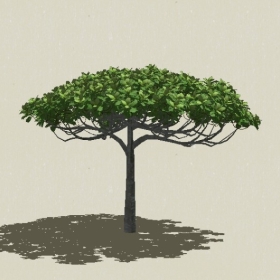 ��ľ��ľ-Sketchup��ͼ��ʦEnscape����ģ��2022051170