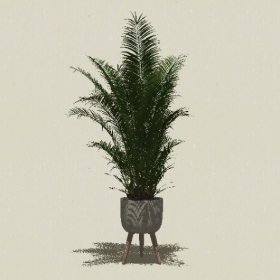 ����ֲ��-Sketchup��ͼ��ʦEnscape����ģ��2022051127