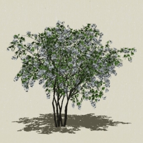 ��ľ��ľ-Sketchup��ͼ��ʦEnscape����ģ��2022051112