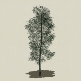 ��ľ-Sketchup��ͼ��ʦEnscape����ģ��2022051187