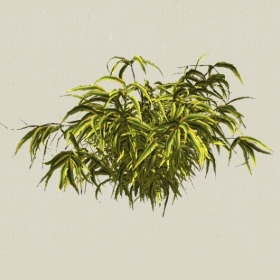 ��ľ-Sketchup��ͼ��ʦEnscape����ģ��20220511121