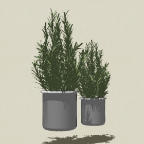 ����ֲ��-Sketchup��ͼ��ʦEnscape����ģ��20220511126