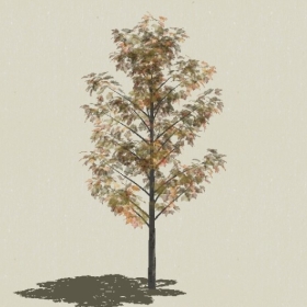 ��ľ-Sketchup��ͼ��ʦEnscape����ģ��20220511176