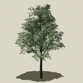 ��ľ-Sketchup��ͼ��ʦEnscape����ģ��2022051145