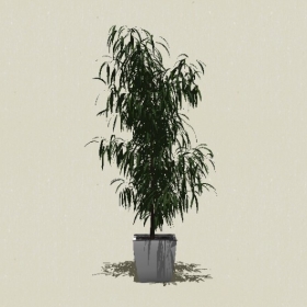 ����ֲ��-Sketchup��ͼ��ʦEnscape����ģ��20220511163