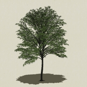 ��ľ-Sketchup��ͼ��ʦEnscape����ģ��2022051112