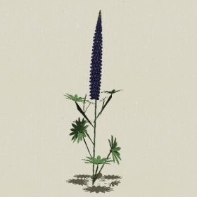 ����-Sketchup��ͼ��ʦEnscape����ģ��2022051148