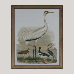 װ�λ�_Enscape���ʲ�ͼ��ʦģ���������202204203180