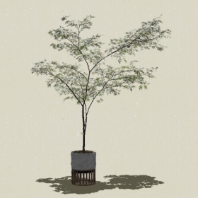 ����ֲ��-Sketchup��ͼ��ʦEnscape����ģ��2022051136