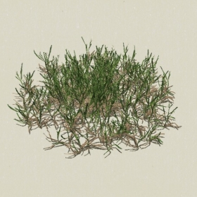 ��-Sketchup��ͼ��ʦEnscape����ģ��20220511127