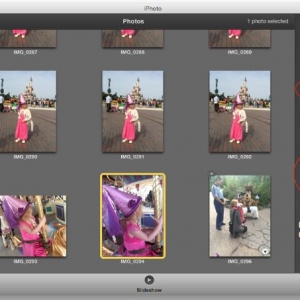 iPhoto Tagger for mac 1.2.0 – 专业的照片归档工具 绿化 免费下载