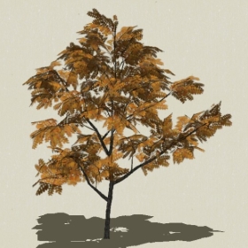 ��ľ-Sketchup��ͼ��ʦEnscape����ģ��2022051171