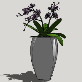 ����ֲ��_Sketchup��ͼ��ʦģ��Enscape����22020426470