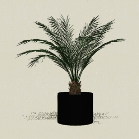 ����ֲ��-Sketchup��ͼ��ʦEnscape����ģ��20220511162