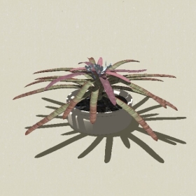 ����ֲ��-Sketchup��ͼ��ʦEnscape����ģ��2022051191