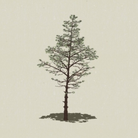 ��Ҷ��ľ-Sketchup��ͼ��ʦEnscape����ģ��2022051140