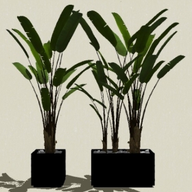 ����ֲ��-Sketchup��ͼ��ʦEnscape����ģ��20220511437