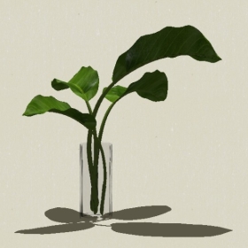 ����-Sketchup��ͼ��ʦEnscape����ģ��20220511135