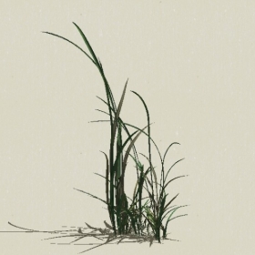 ��-Sketchup��ͼ��ʦEnscape����ģ��20220511103