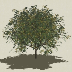 ��ľ��ľ-Sketchup��ͼ��ʦEnscape����ģ��2022051116