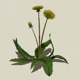 ����-Sketchup��ͼ��ʦEnscape����ģ��2022051185