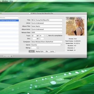 Tag 1.0.3 绿化版 Mac 音乐元数据标签编辑软件