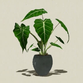 ����ֲ��-Sketchup��ͼ��ʦEnscape����ģ��20220511100