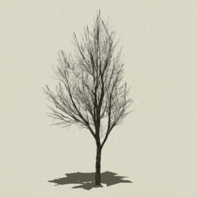 ��ľ-Sketchup��ͼ��ʦEnscape����ģ��2022051157