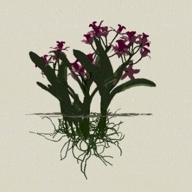 ����-Sketchup��ͼ��ʦEnscape����ģ��2022051171