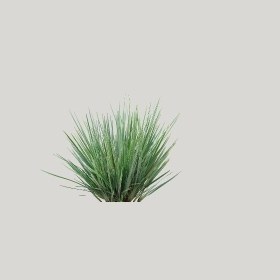 ͼʦģֲģȫ20221850