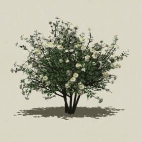 ��ľ��ľ-Sketchup��ͼ��ʦEnscape����ģ��202205115