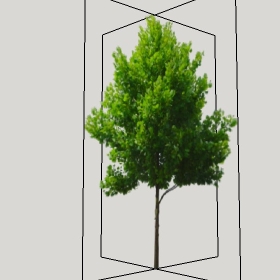 ͼʦģֲģȫ2022124