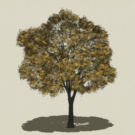 ��ľ-Sketchup��ͼ��ʦEnscape����ģ��20220511141