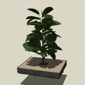 ����ֲ��-Sketchup��ͼ��ʦEnscape����ģ��20220511