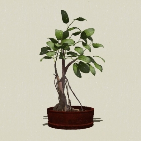 �辰ֲ��-Sketchup��ͼ��ʦEnscape����ģ��2022051121