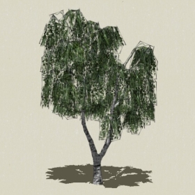 ��ľ-Sketchup��ͼ��ʦEnscape����ģ��20220511132