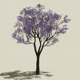 ��ľ��ľ-Sketchup��ͼ��ʦEnscape����ģ��2022051189