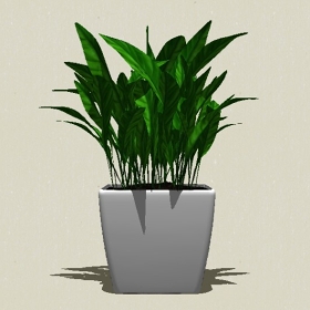 ����ֲ��-Sketchup��ͼ��ʦEnscape����ģ��20220511236