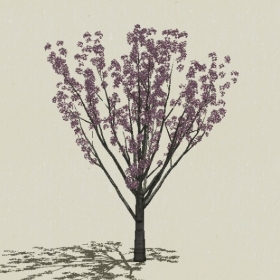 ��ľ��ľ-Sketchup��ͼ��ʦEnscape����ģ��2022051174