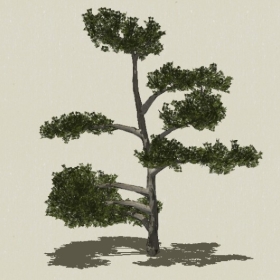 �辰ֲ��-Sketchup��ͼ��ʦEnscape����ģ��20220511118