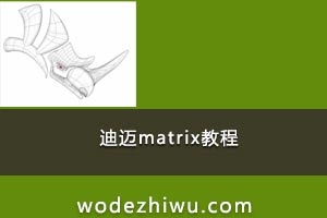 022-迪迈matrix教程  免费下载