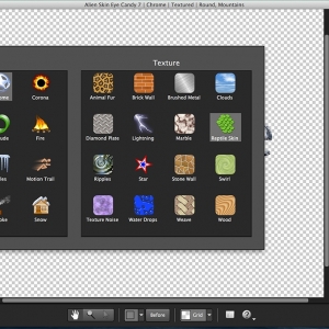 Alien Skin Software Plug-ins Bundle (12.2015) MacOSX