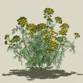 ����-Sketchup��ͼ��ʦEnscape����ģ��2022051113