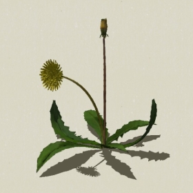 ����-Sketchup��ͼ��ʦEnscape����ģ��2022051189